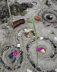 Ortsheilung am Strand durch Legen eines Mandalas